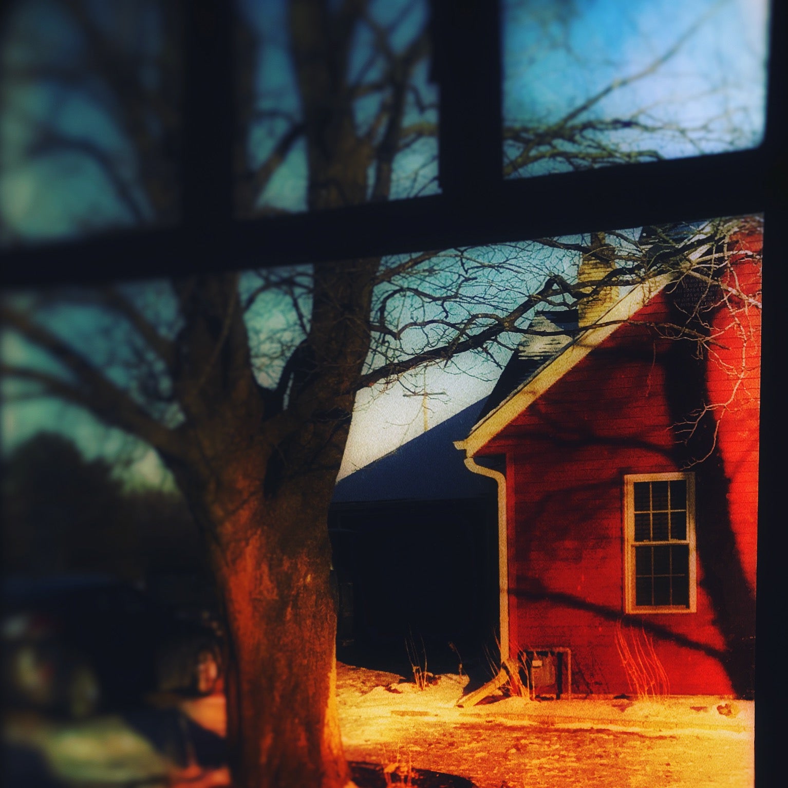 Beauty from A Bus Trip