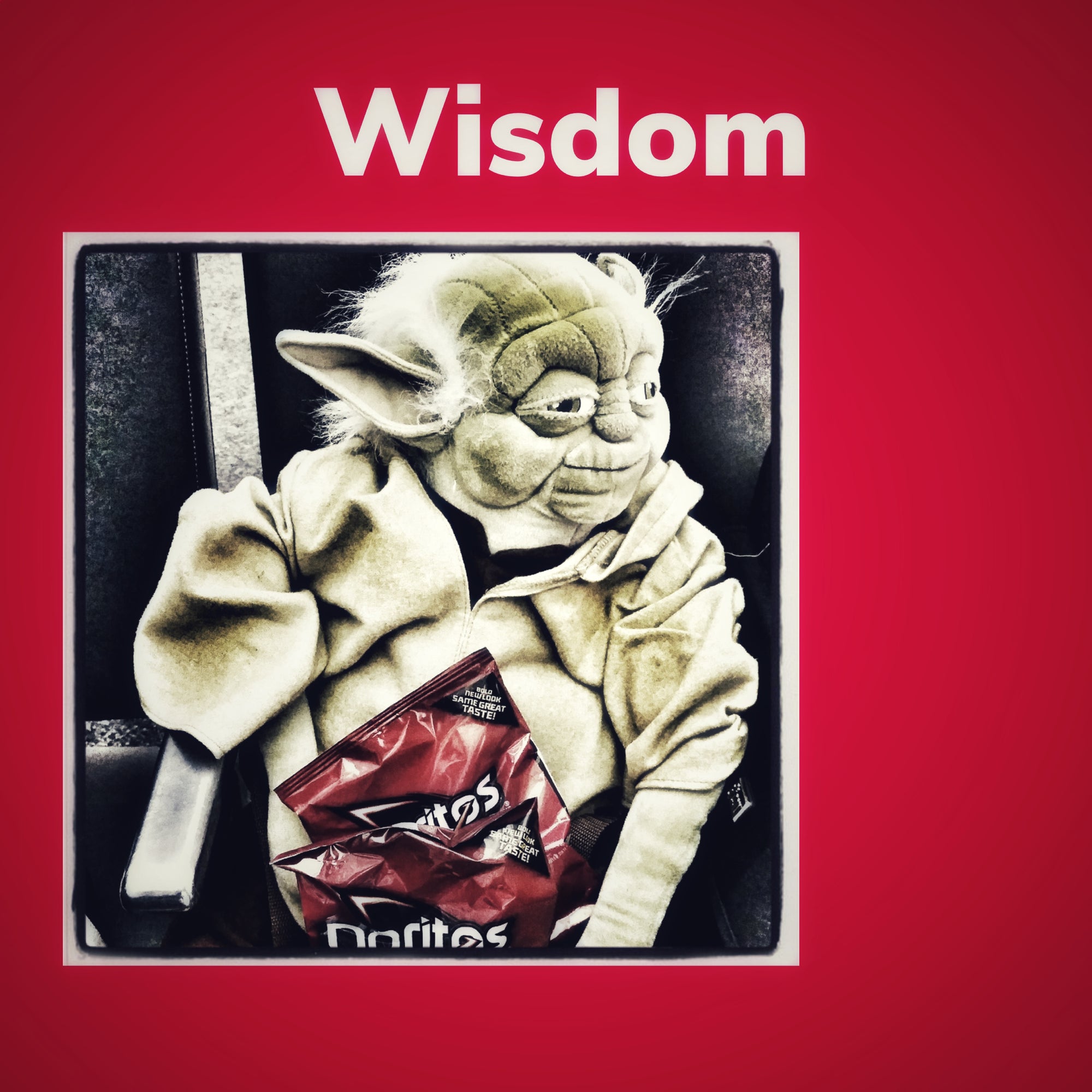 5x5 * Wise Yoda