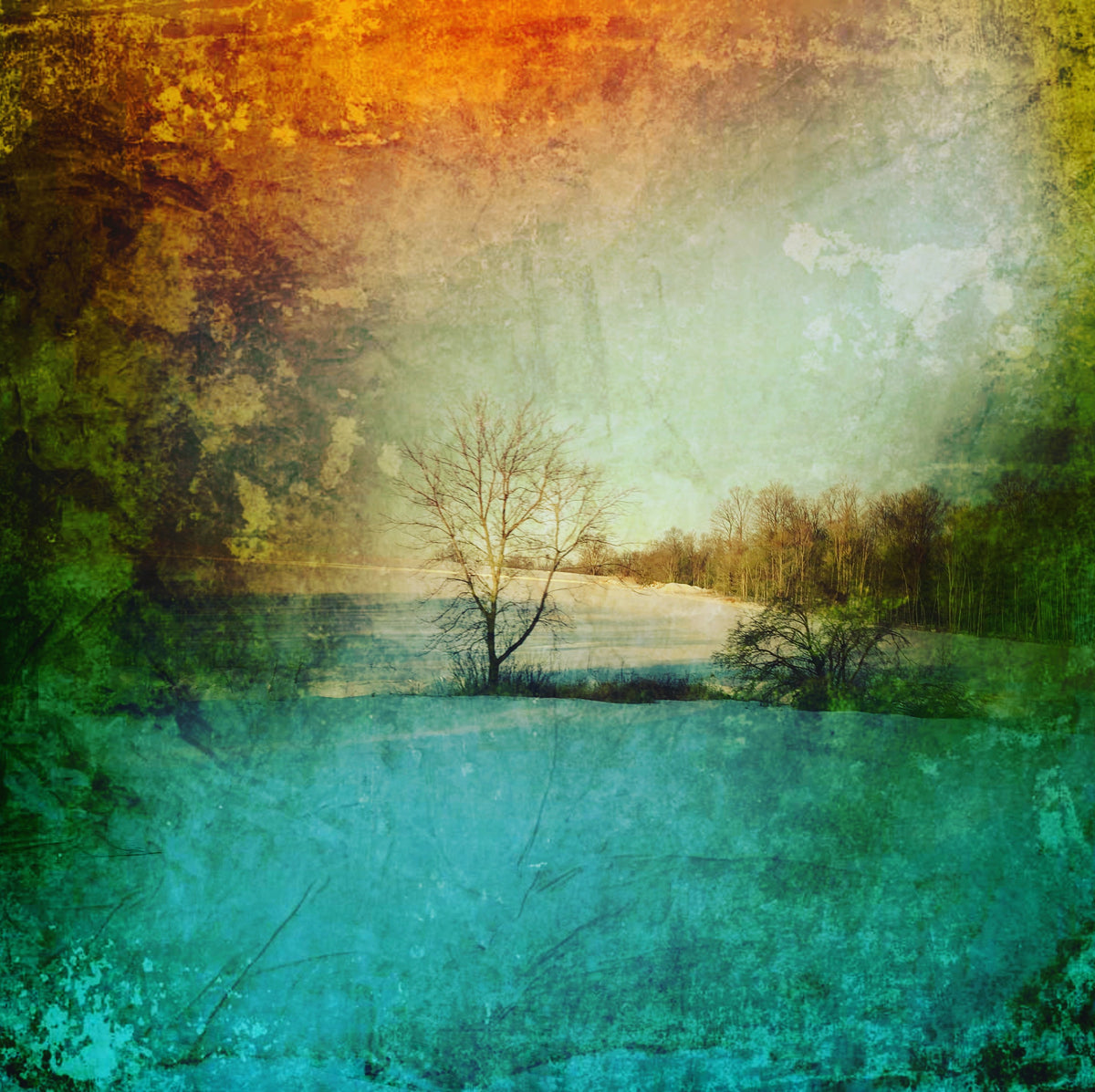 5x5 * Dream Tree