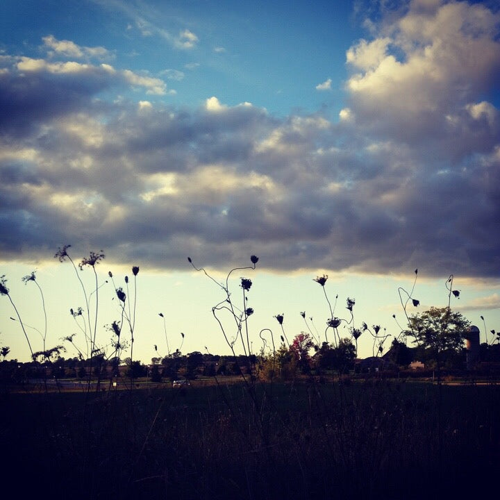 5x5 * Sunset Field