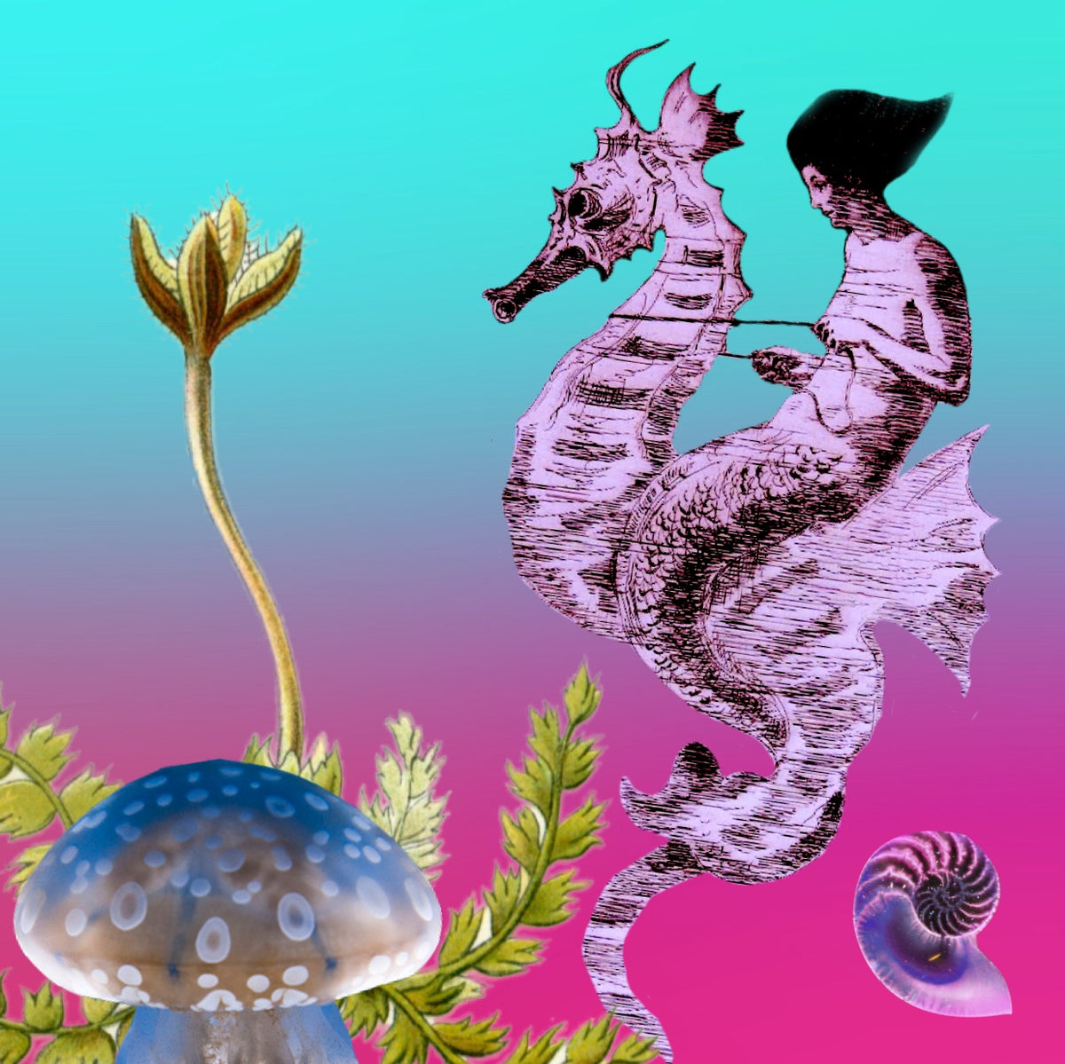 5x5 * SeaHorse