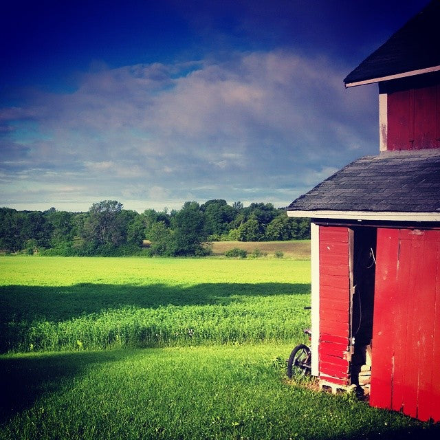 5x5 * BarnBeauty
