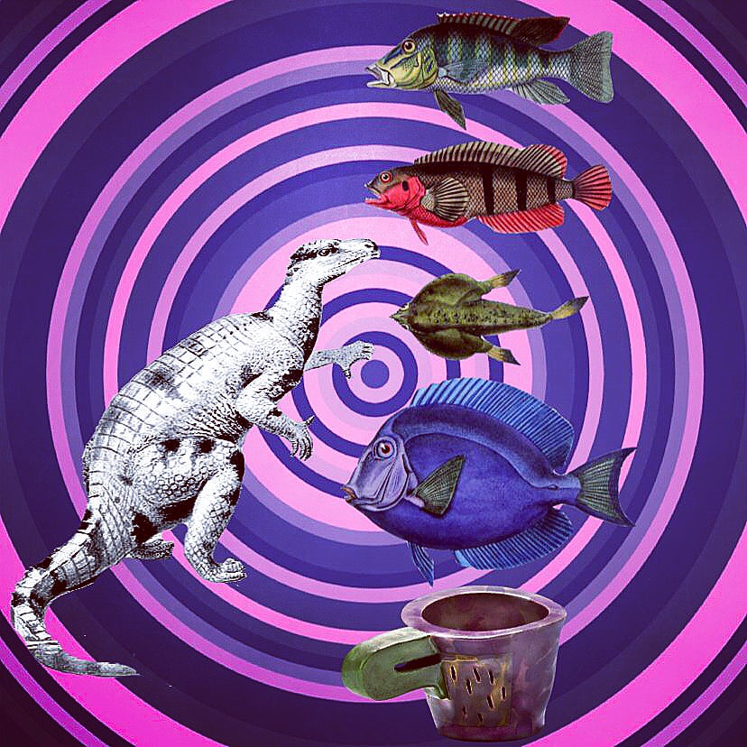 5x5 * DinoFish