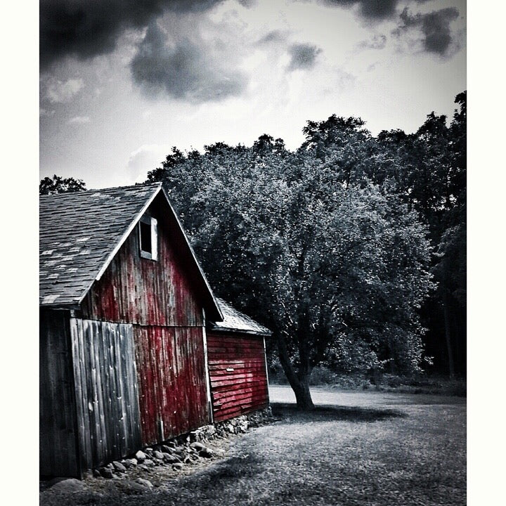 5x5 * Red Grey