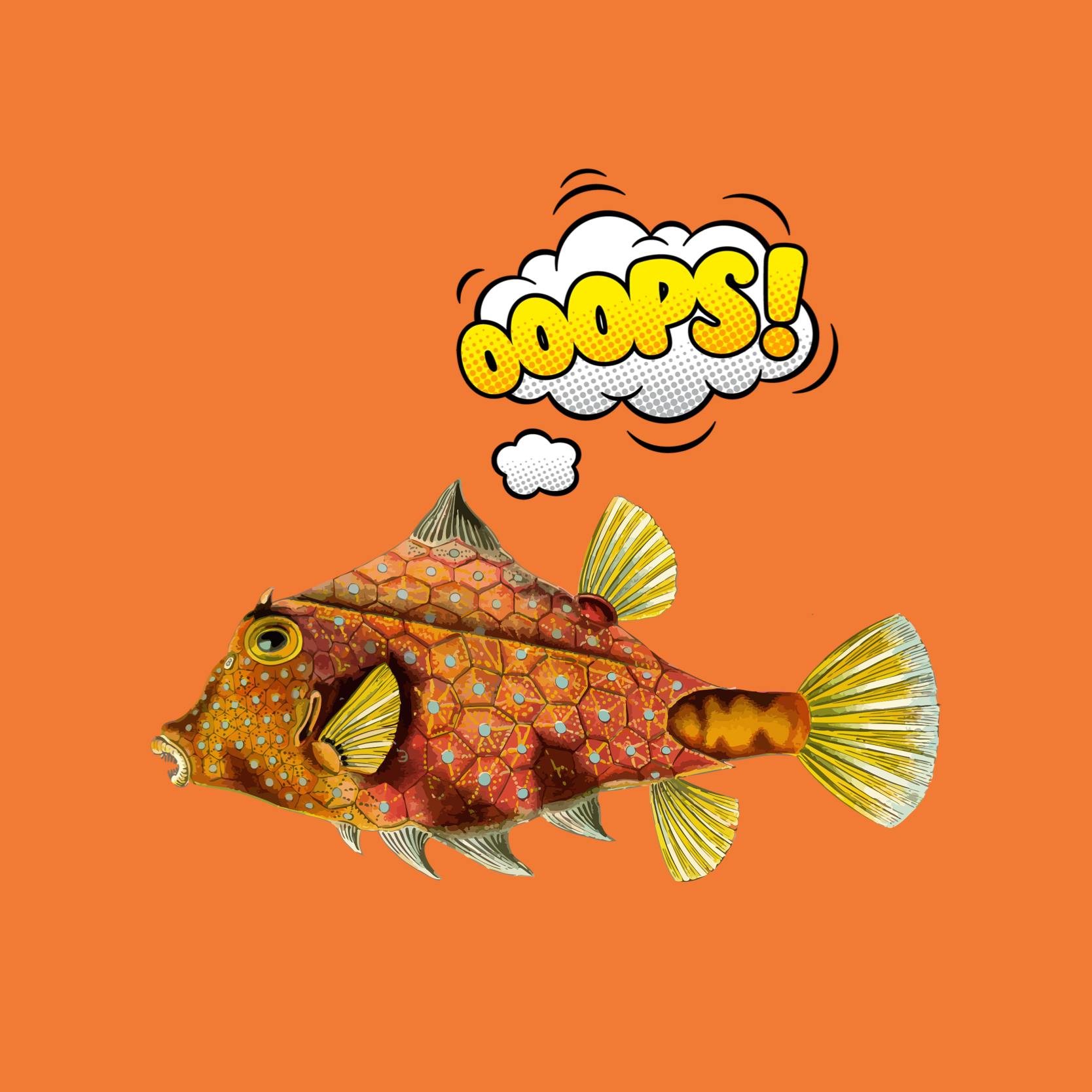 5x5 * OrangeFish