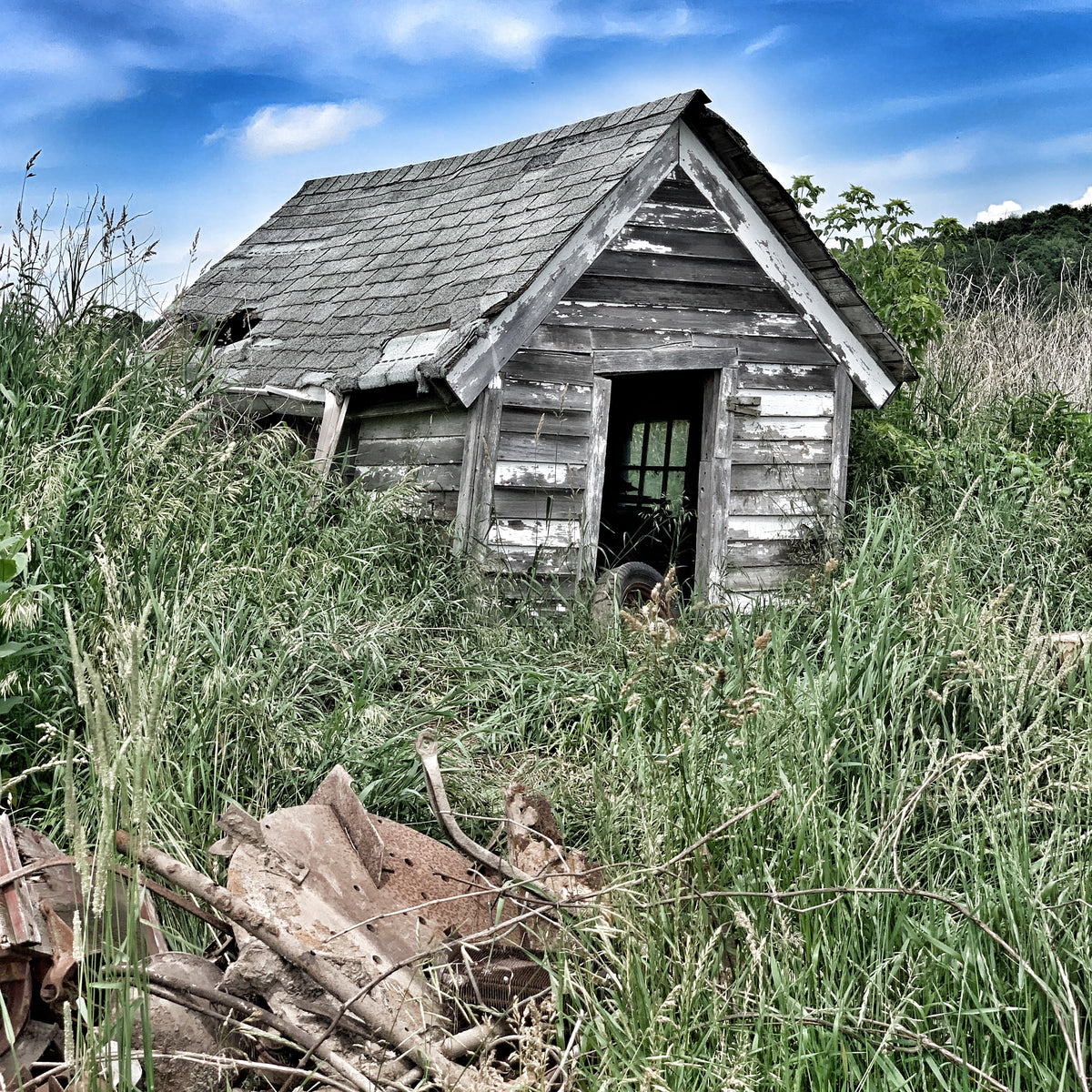 5x5 * Shed