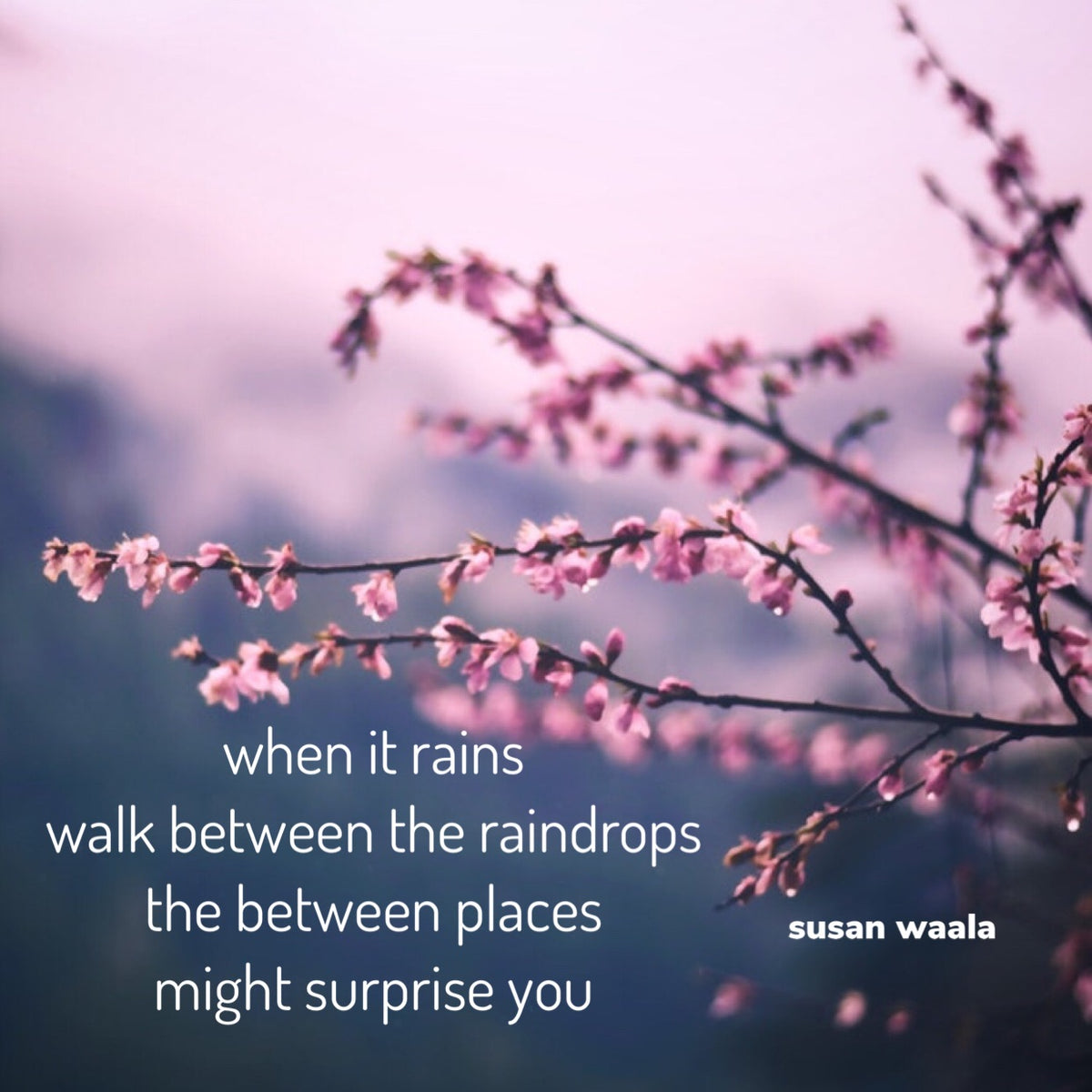 5x5 * Raindrops