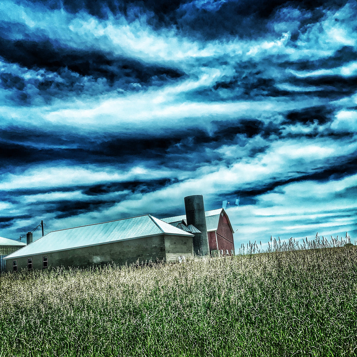 5x5 * FieldBarn