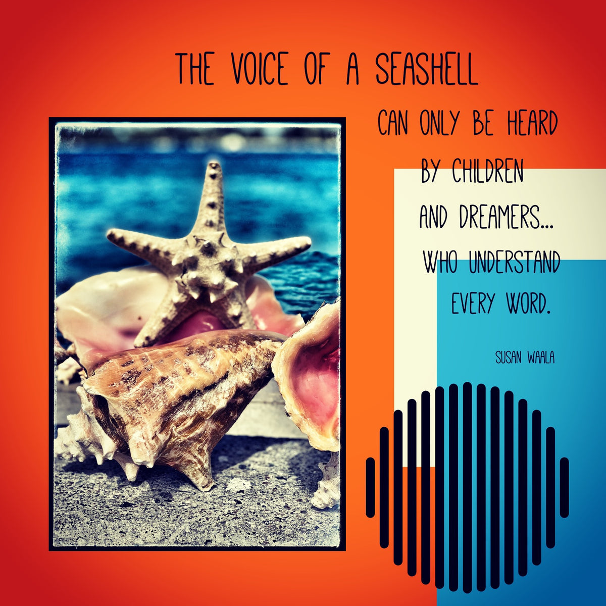 5x5 * SeaShell
